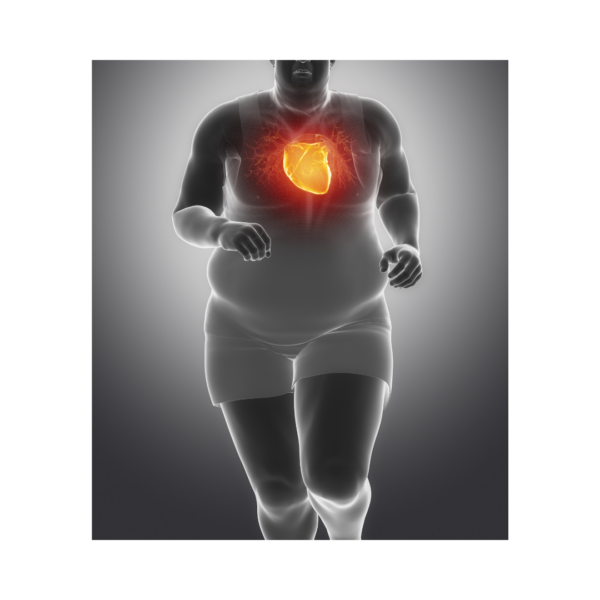 Abonnement mensuel : 1 activité par an